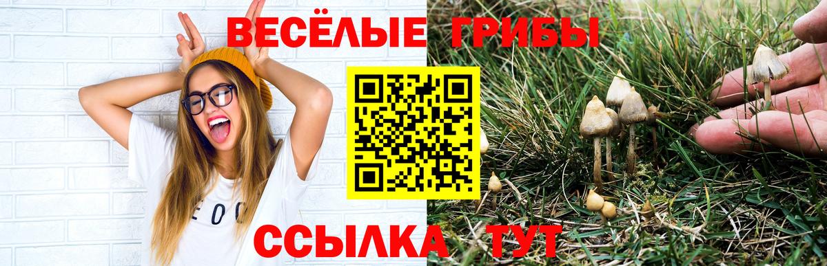 Псилоцибиновые грибы GOLDEN TEACHER  магазин  наркотиков  Каменск-Уральский  Вход с VPN 